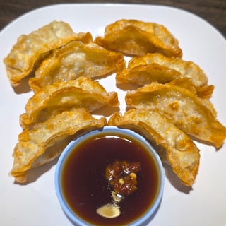 Japanese Dumplings